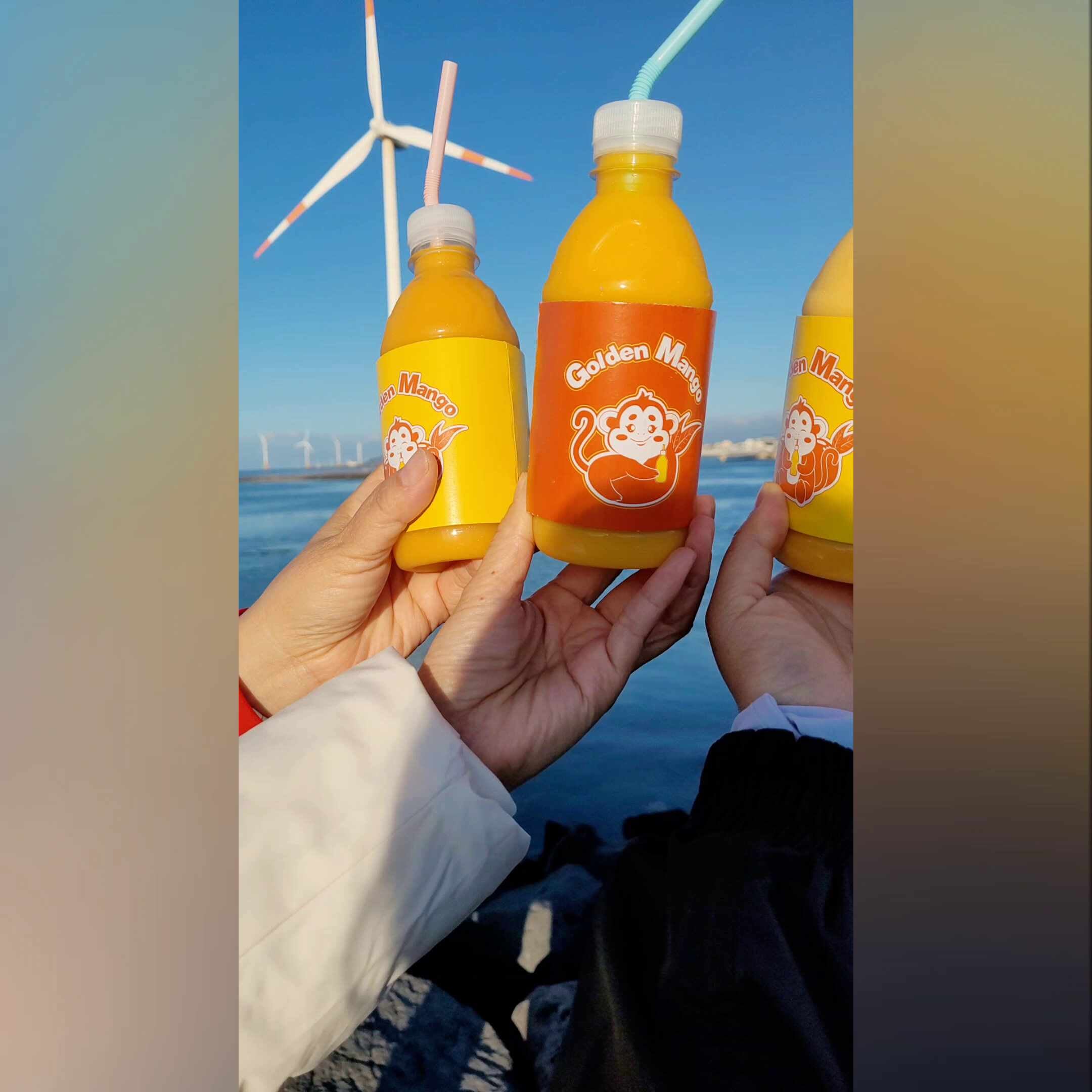 제주 망고주스 신창풍차해안도로 카페 골든망고