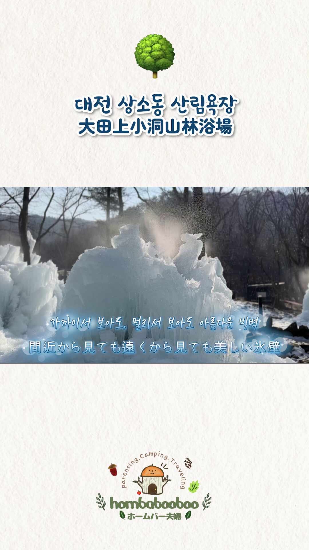 대전 상소동 산림욕장❄️🌲 / 大田上小洞山林浴場❄️🌲
