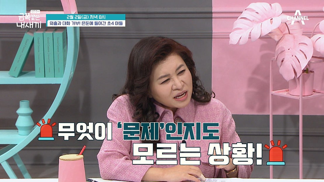 요즘 육아 금쪽같은 내새끼