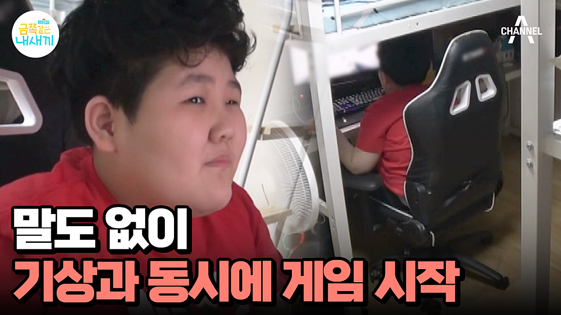 요즘 육아 금쪽같은 내새끼