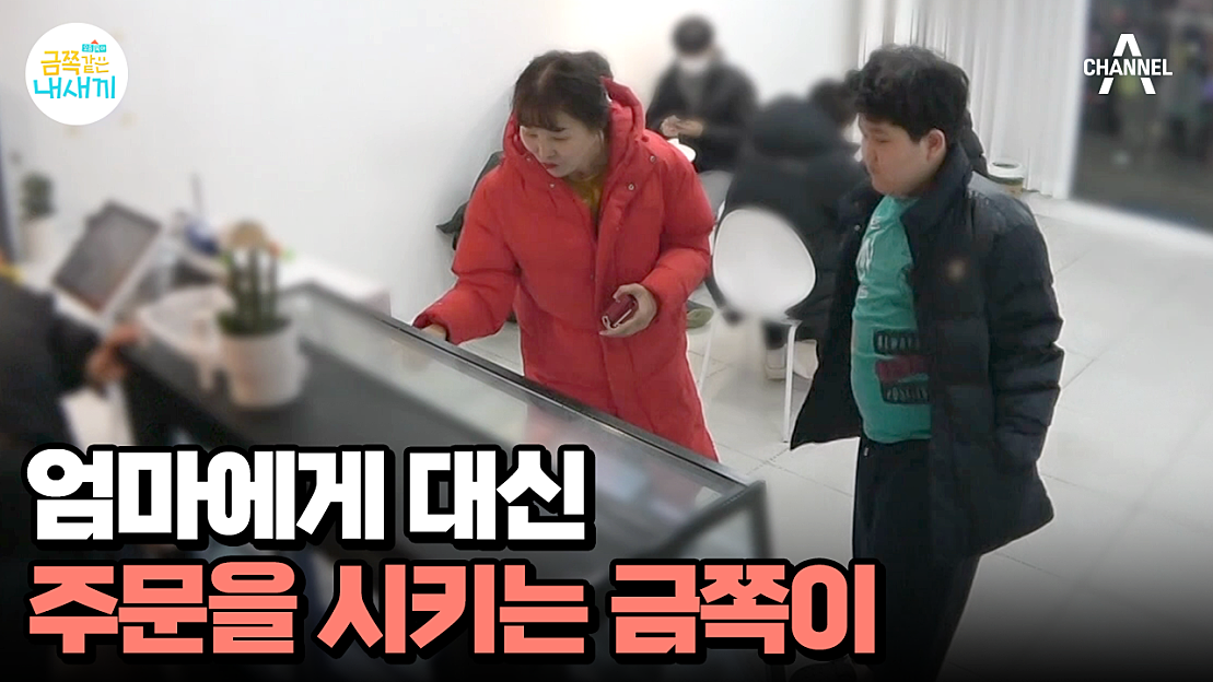 요즘 육아 금쪽같은 내새끼