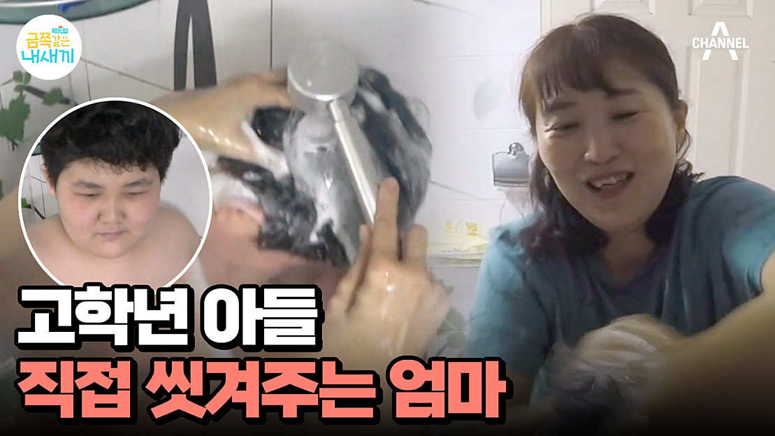 요즘 육아 금쪽같은 내새끼