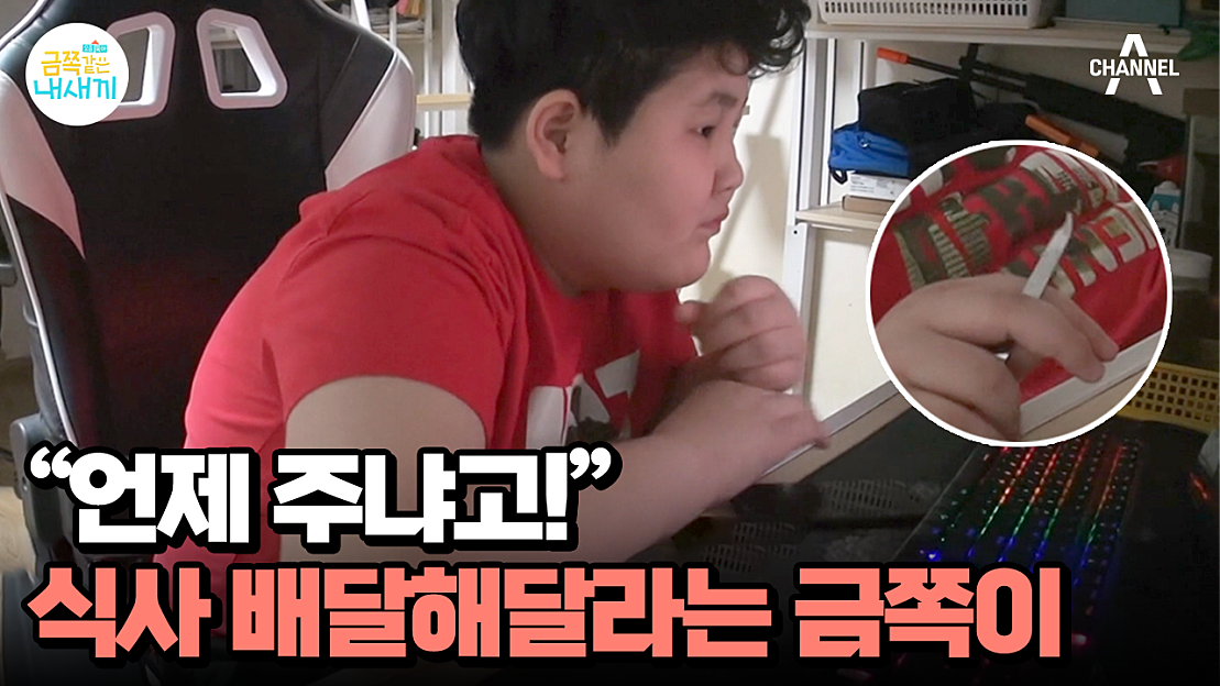 요즘 육아 금쪽같은 내새끼