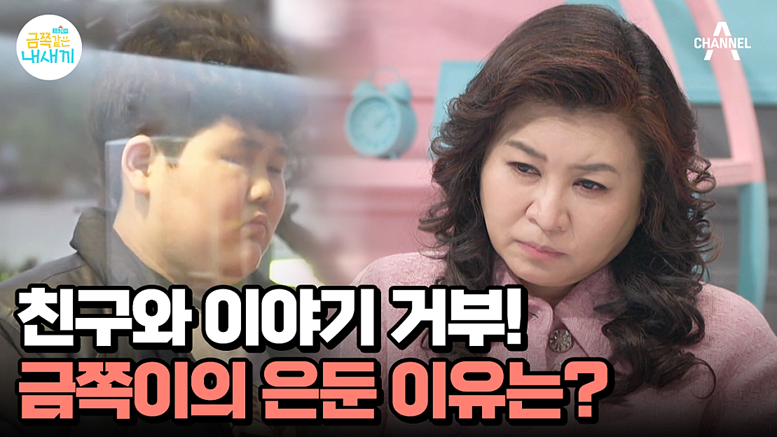 요즘 육아 금쪽같은 내새끼