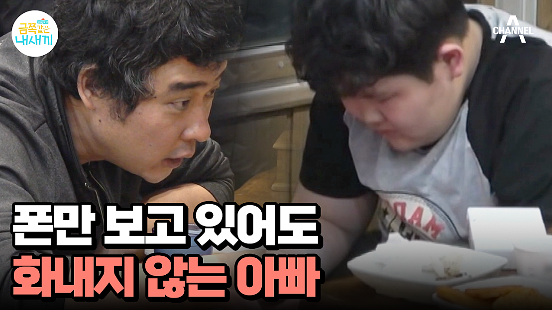 요즘 육아 금쪽같은 내새끼