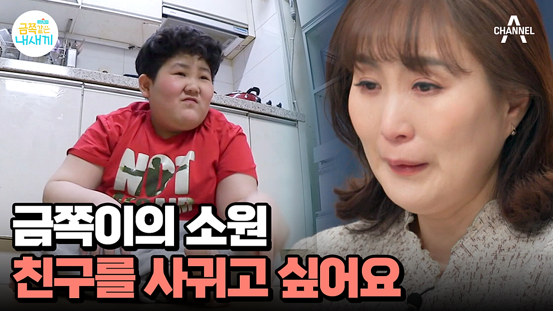 요즘 육아 금쪽같은 내새끼