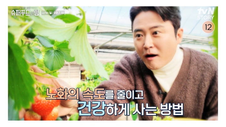 [예고] 일상의 탄력을 무너뜨리는 노화, 그 주범을 밝히다