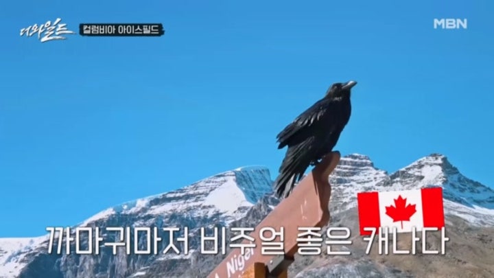 대빙원에 도착한 와일더들! 자기가 독수리인 줄 아는 까마귀 등장 ㅋㅋ MBN 240216 방송