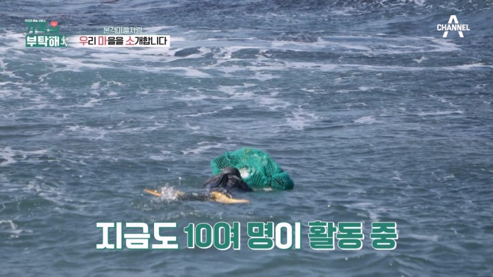 본격 마을 자랑♬ 동해 최고의 해녀가 있는 우리 마을♥