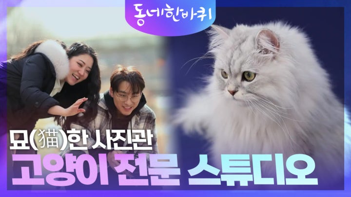 묘(猫)한 사진관 고양이 전문 스튜디오 | KBS 240217 방송