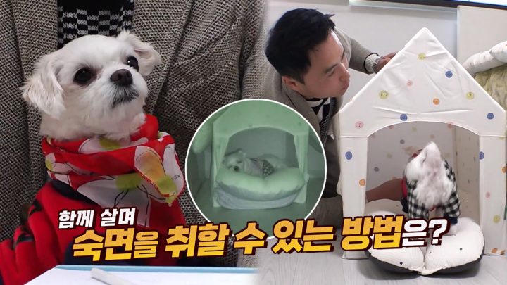 할머니와 다솜이의 편안한 숙면 위한 솔루션★