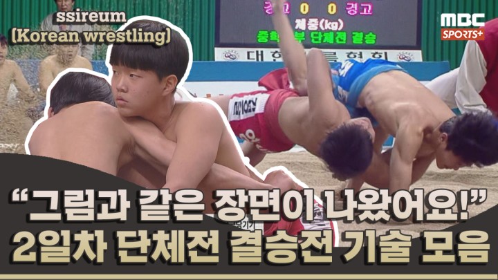 ＂그림과 같은 장면이 나왔어요!＂ 2일차 단체전 결승전 기술 모음  I 2024 전국 시도대항 장사 씨름대회