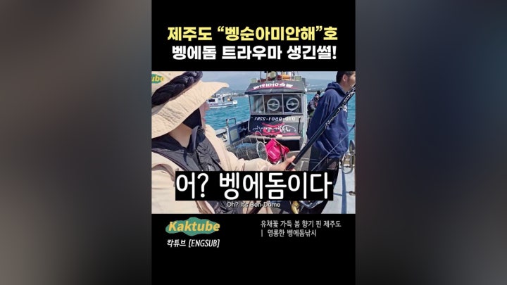 15/16 유채꽃 가득 봄 향기 핀 제주도 - 네이버 TV