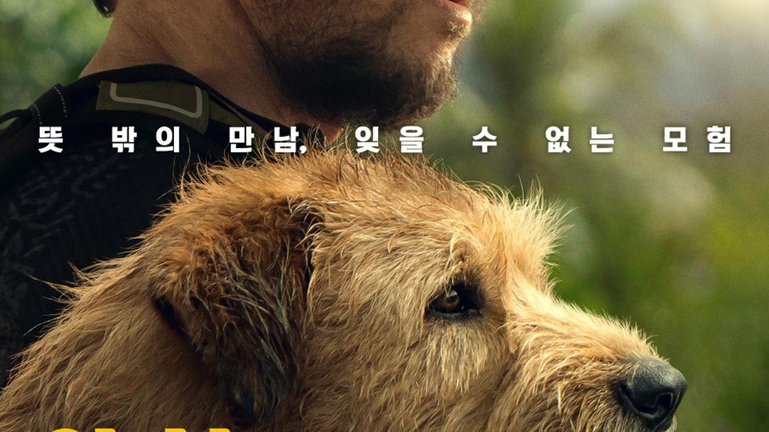 [영화예고편] 아서 - 네이버 TV