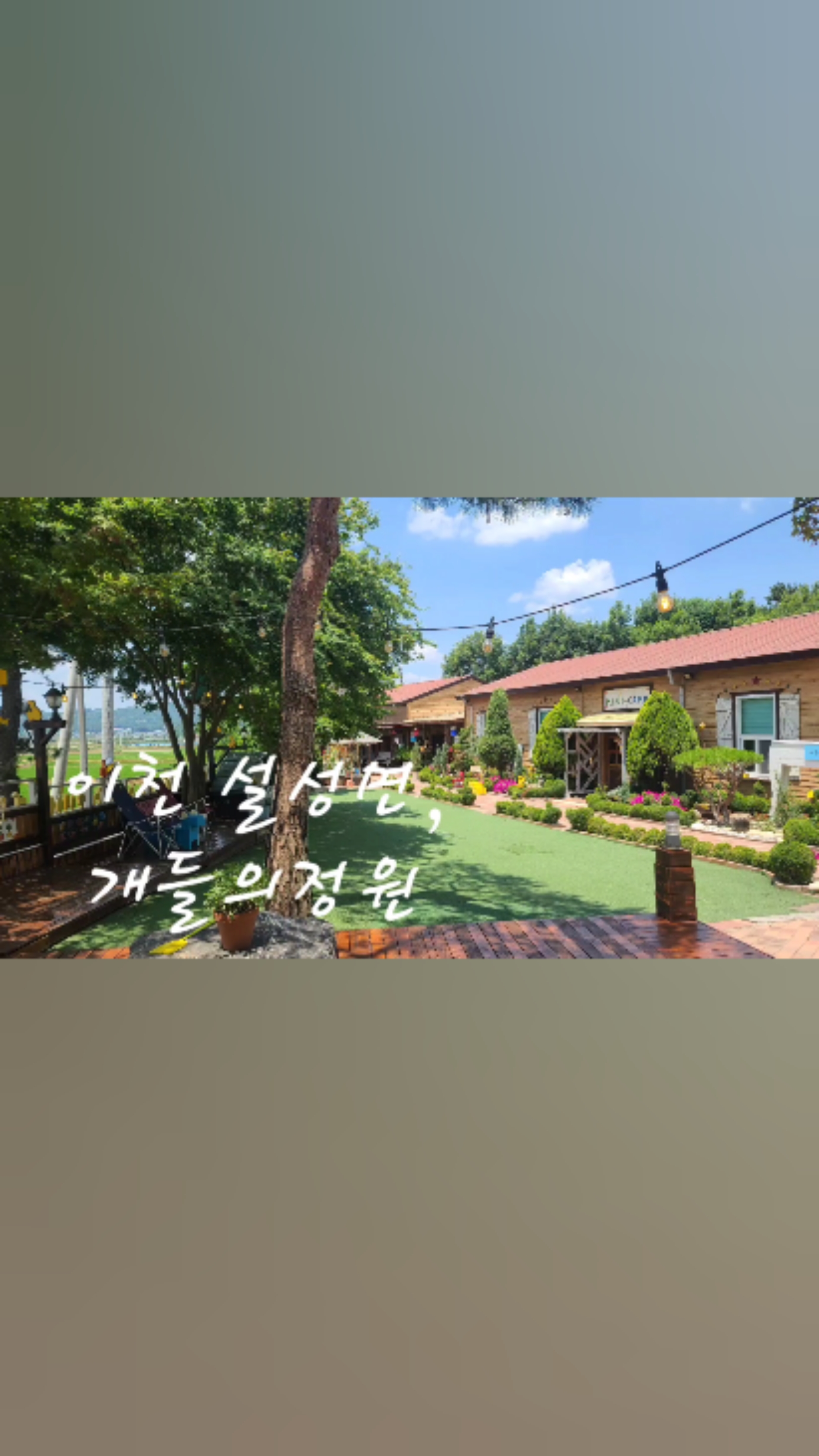 개들의정원