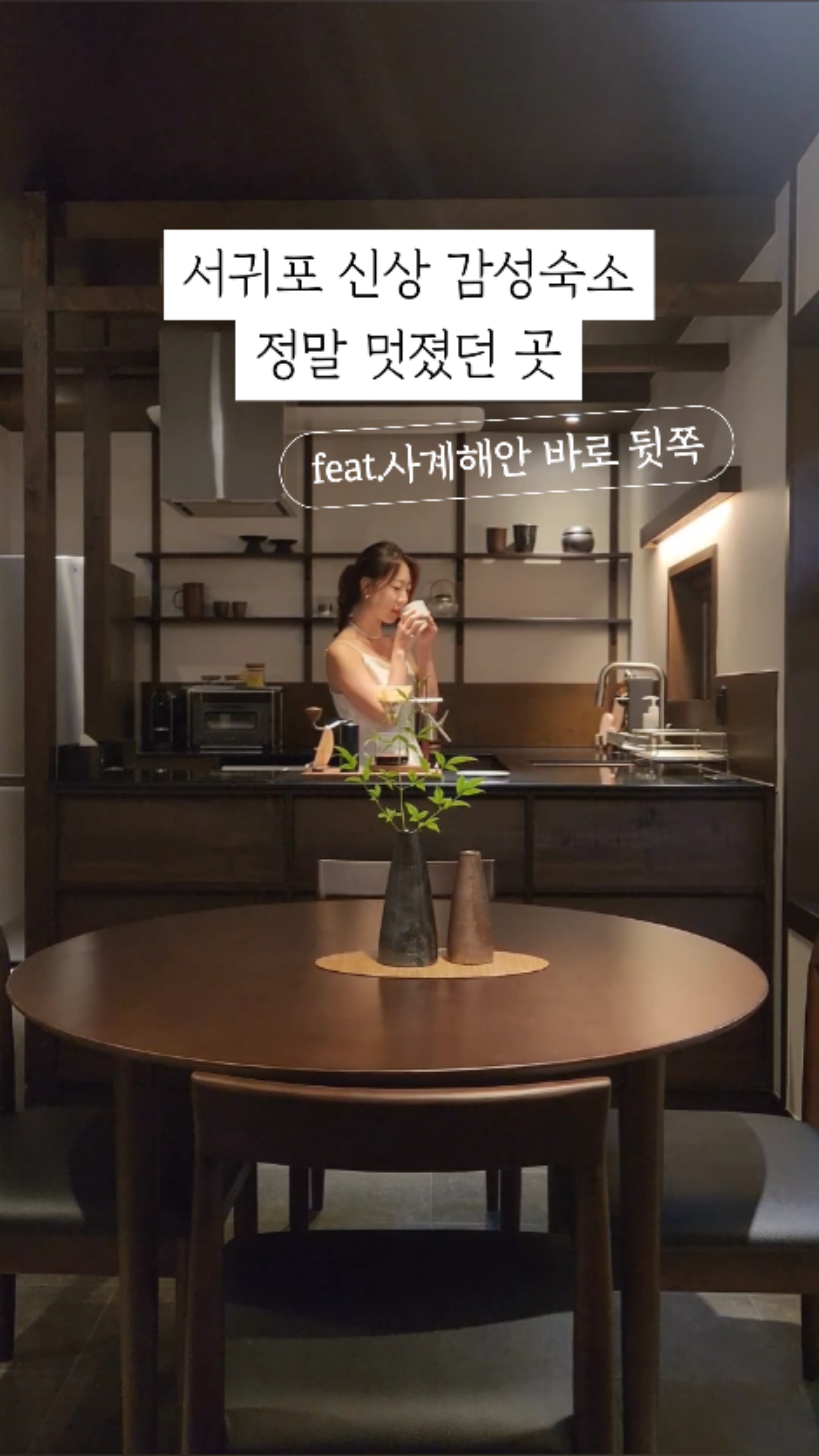 아노록사계 이미지