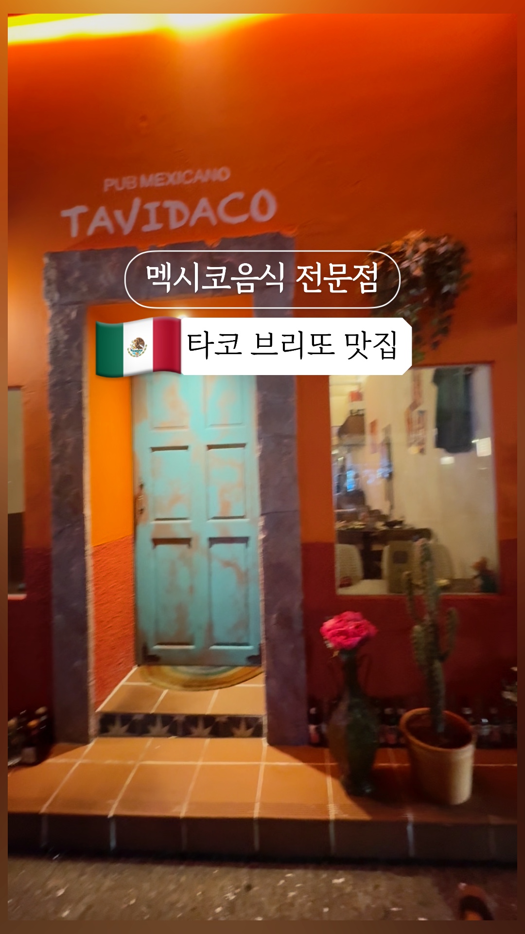 타비다코 이미지