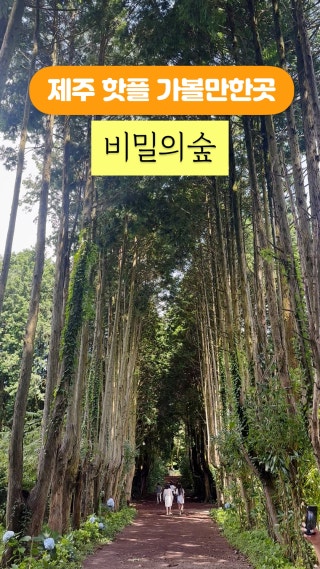 Welcome to Samdali
