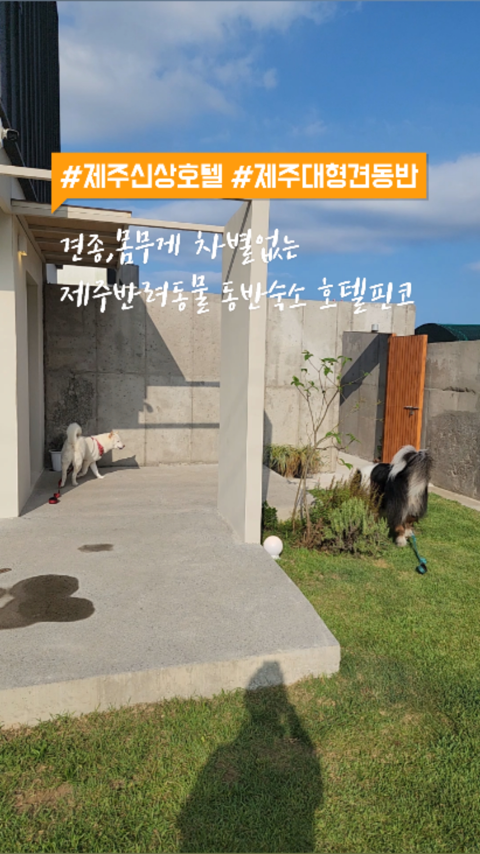 사진 12