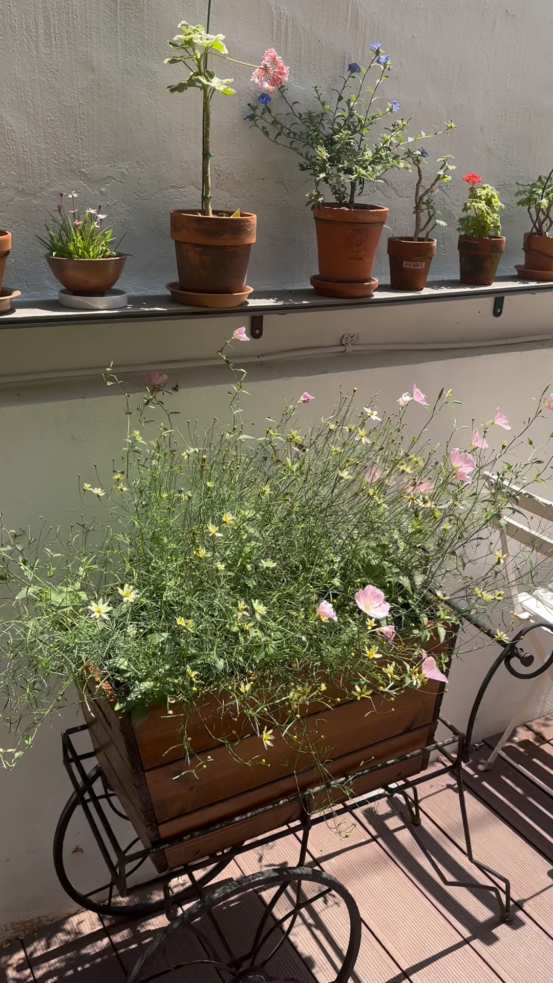 2번째 스튜디오 사진