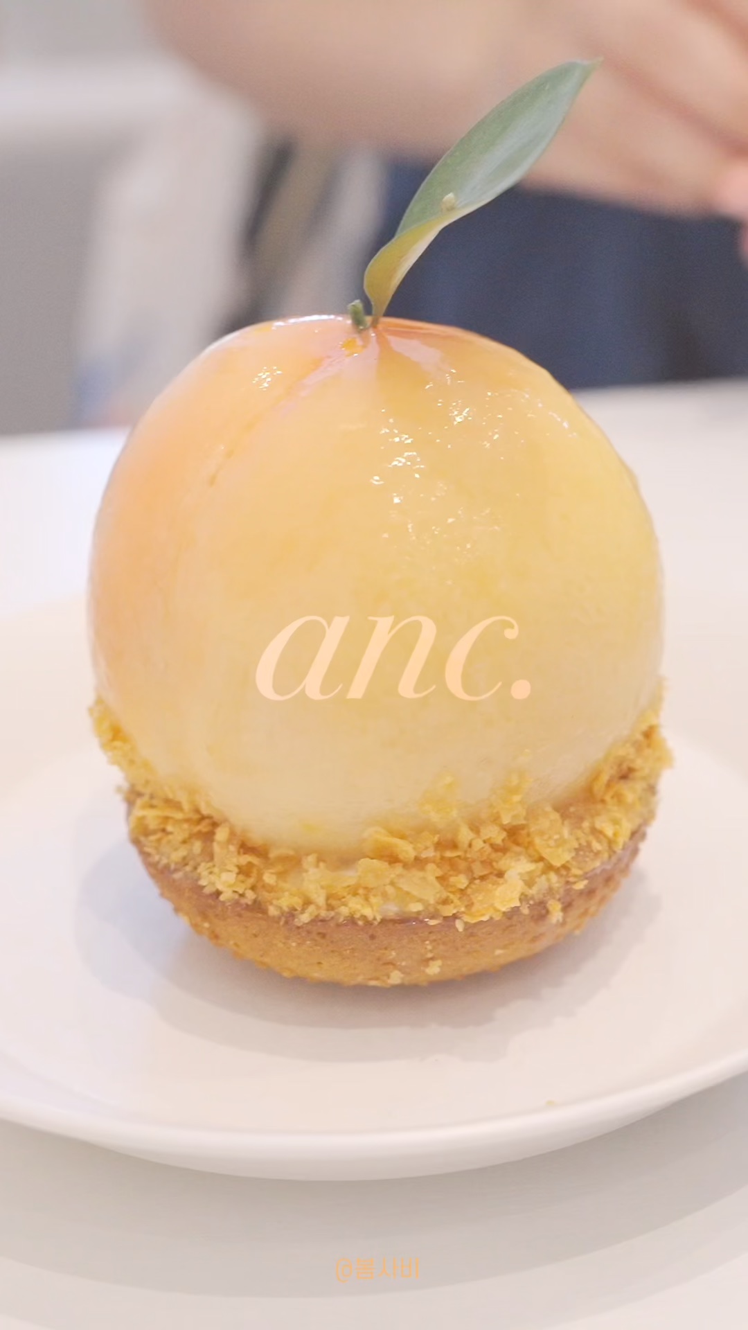 앤크(anc) 이미지