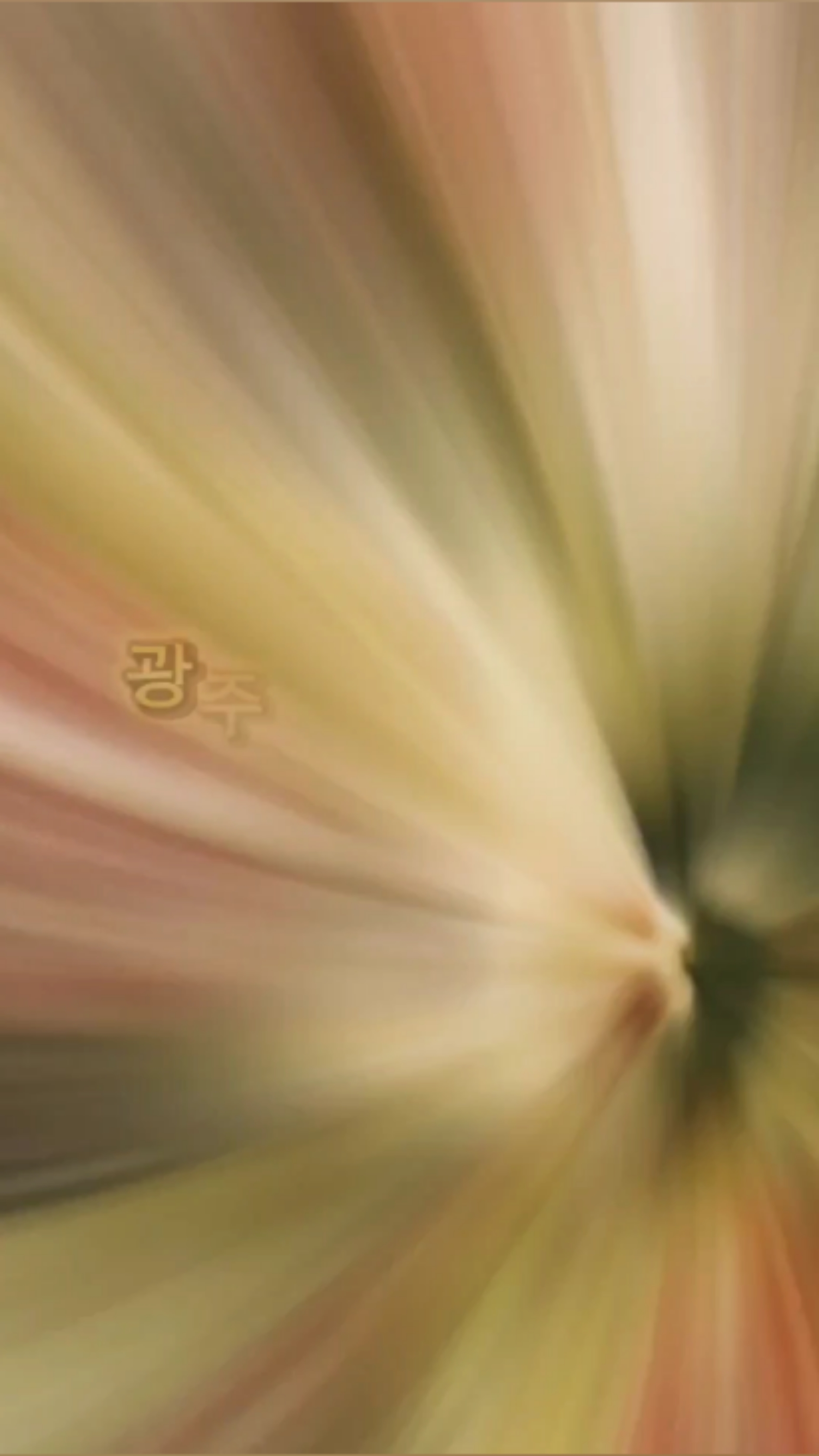 다이닝센광주 이미지