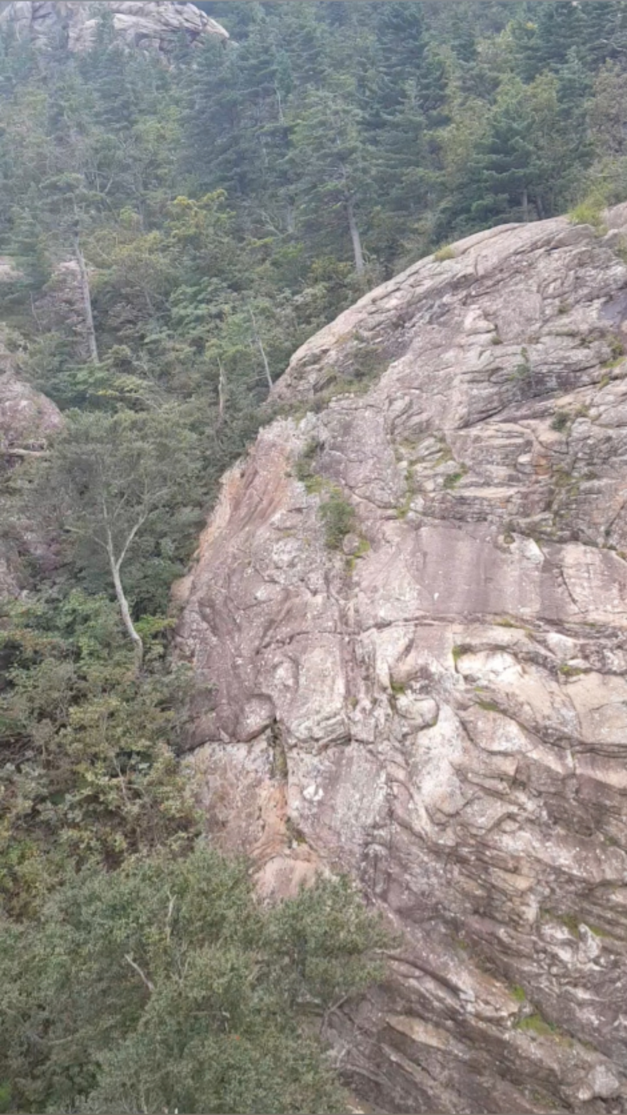 고지골 (Gojigol)