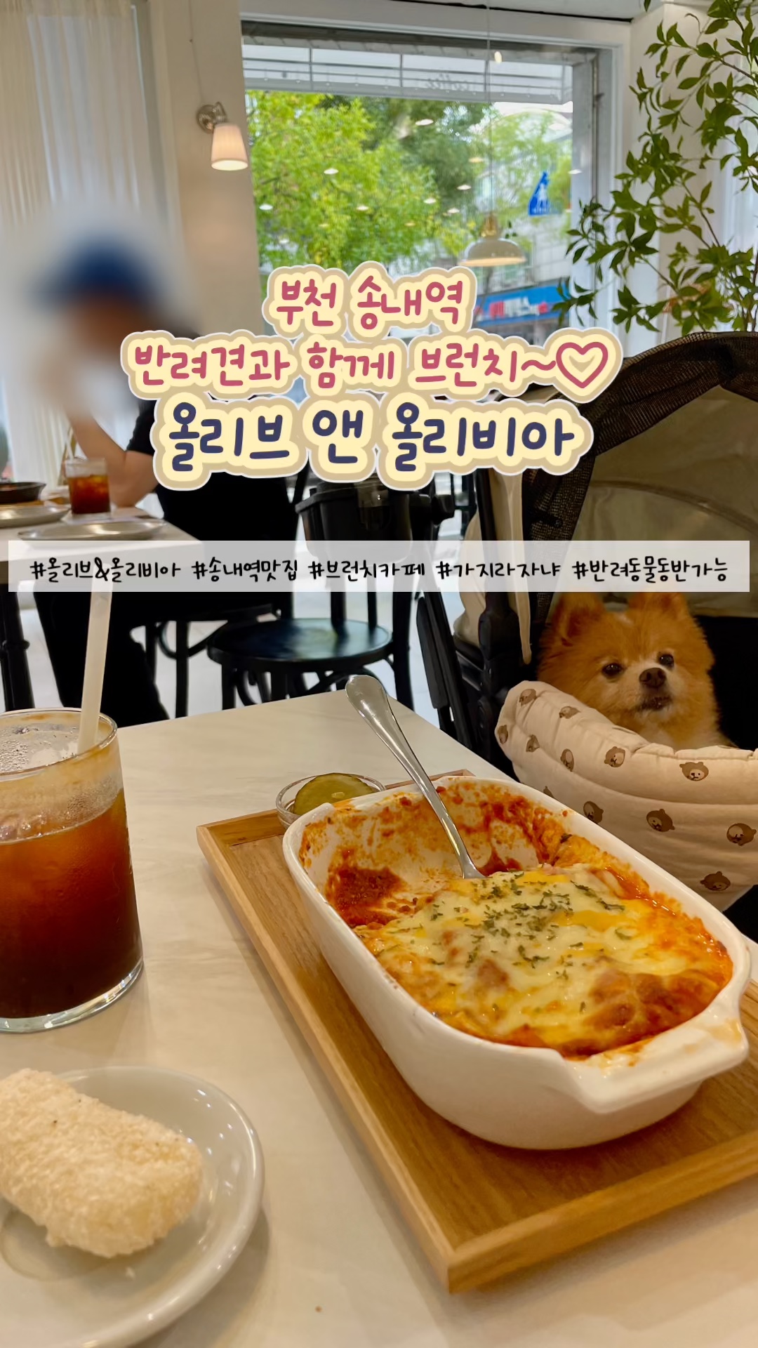 올리브앤올리비아 이미지