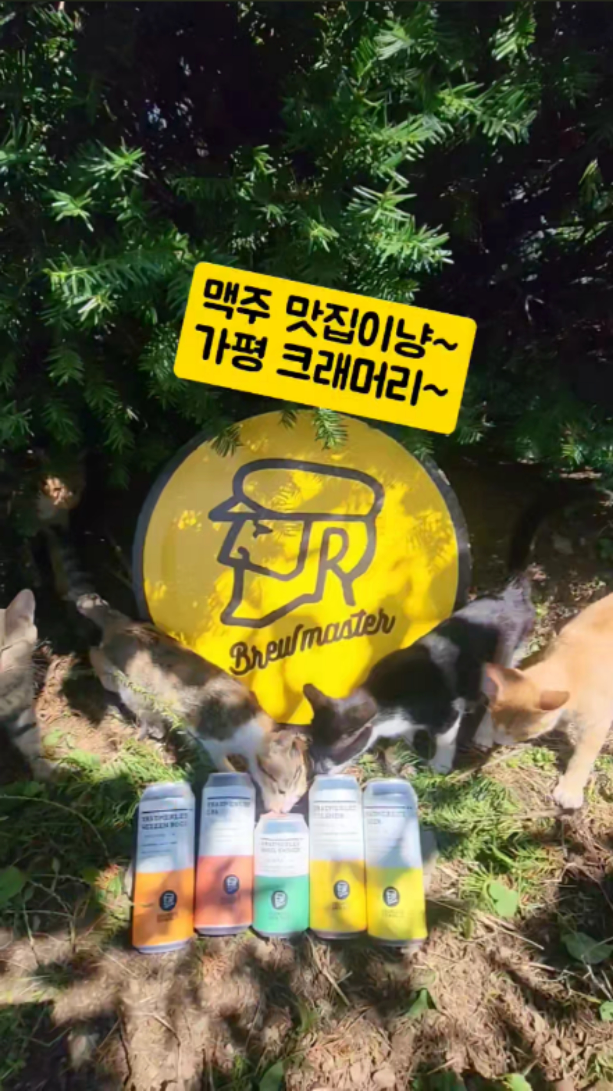 가평 크래머리