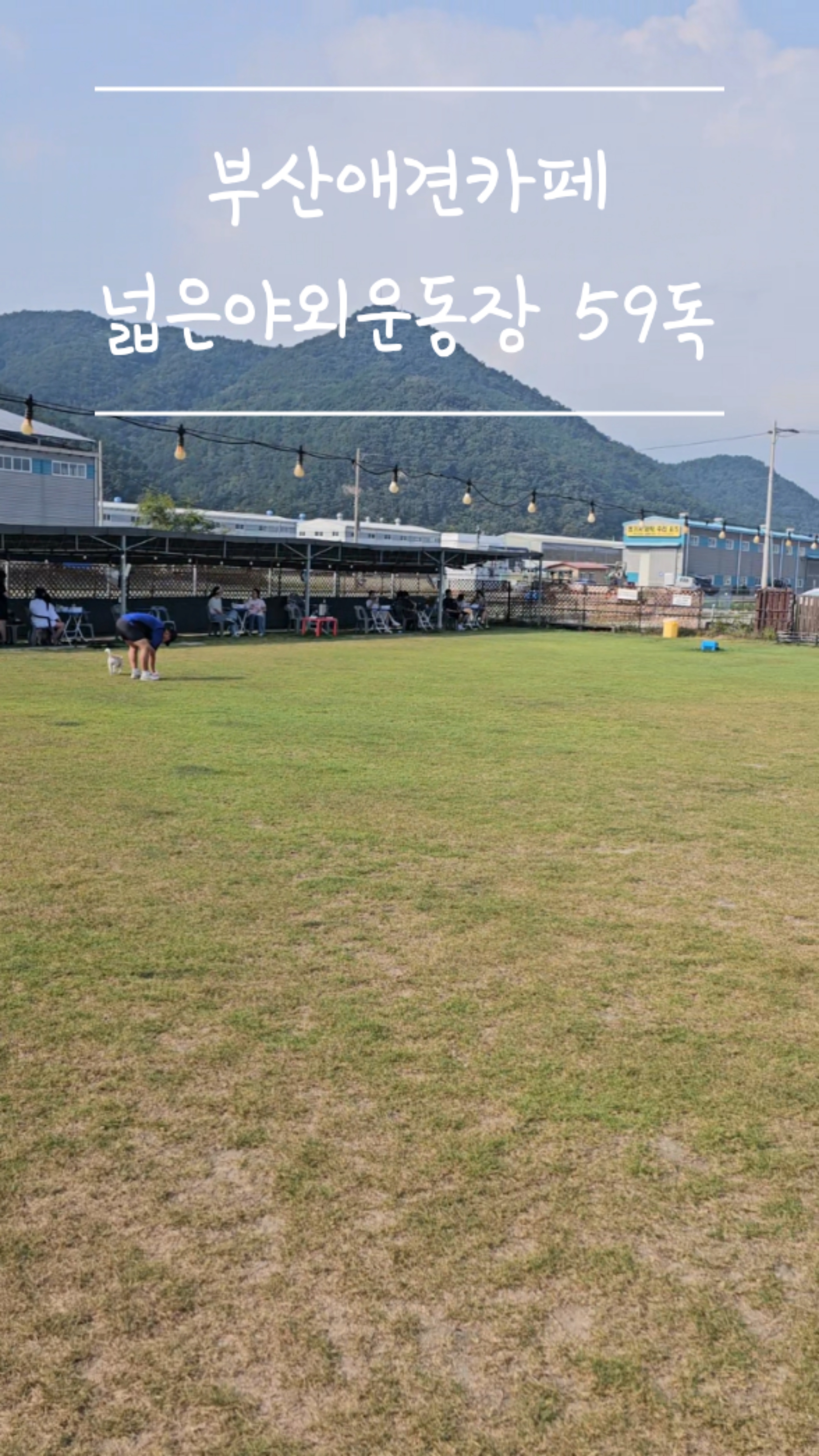 사진 9