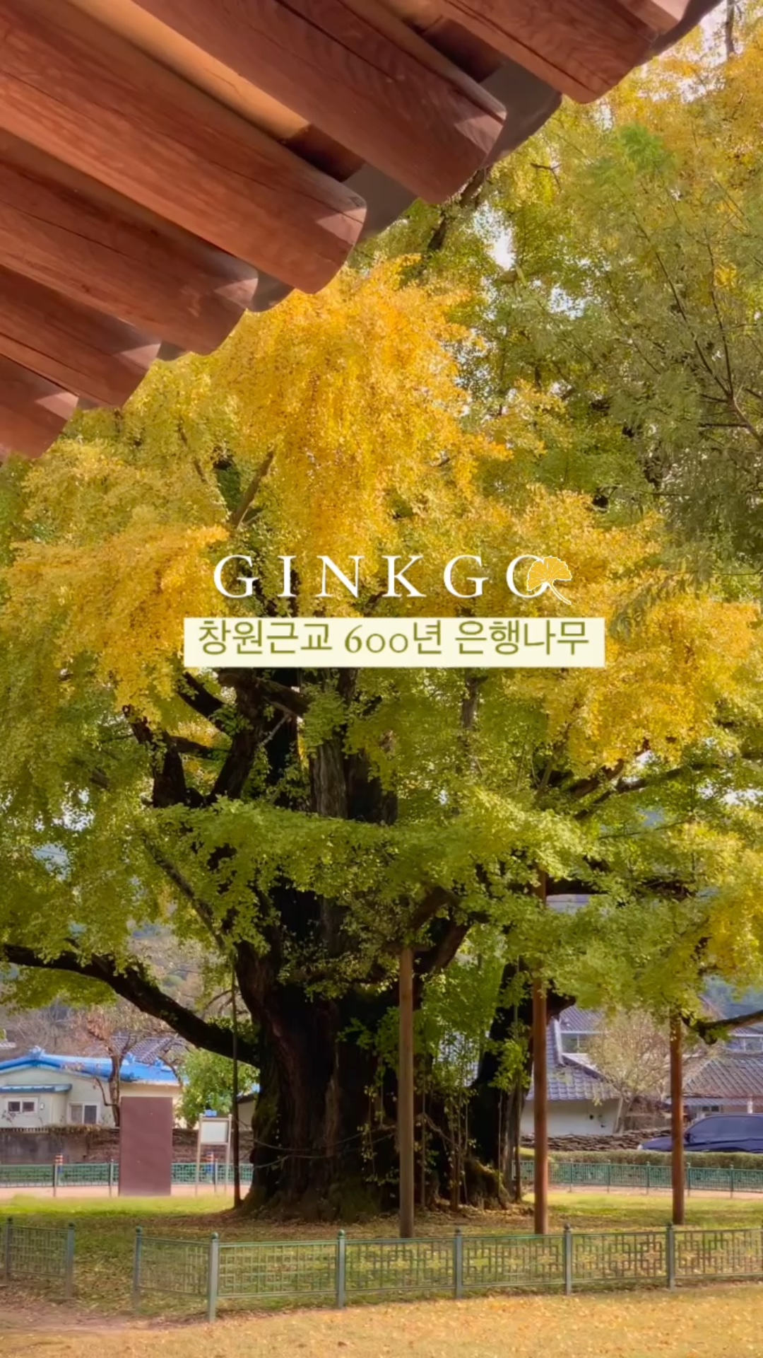 (주) 남다른여행 이미지