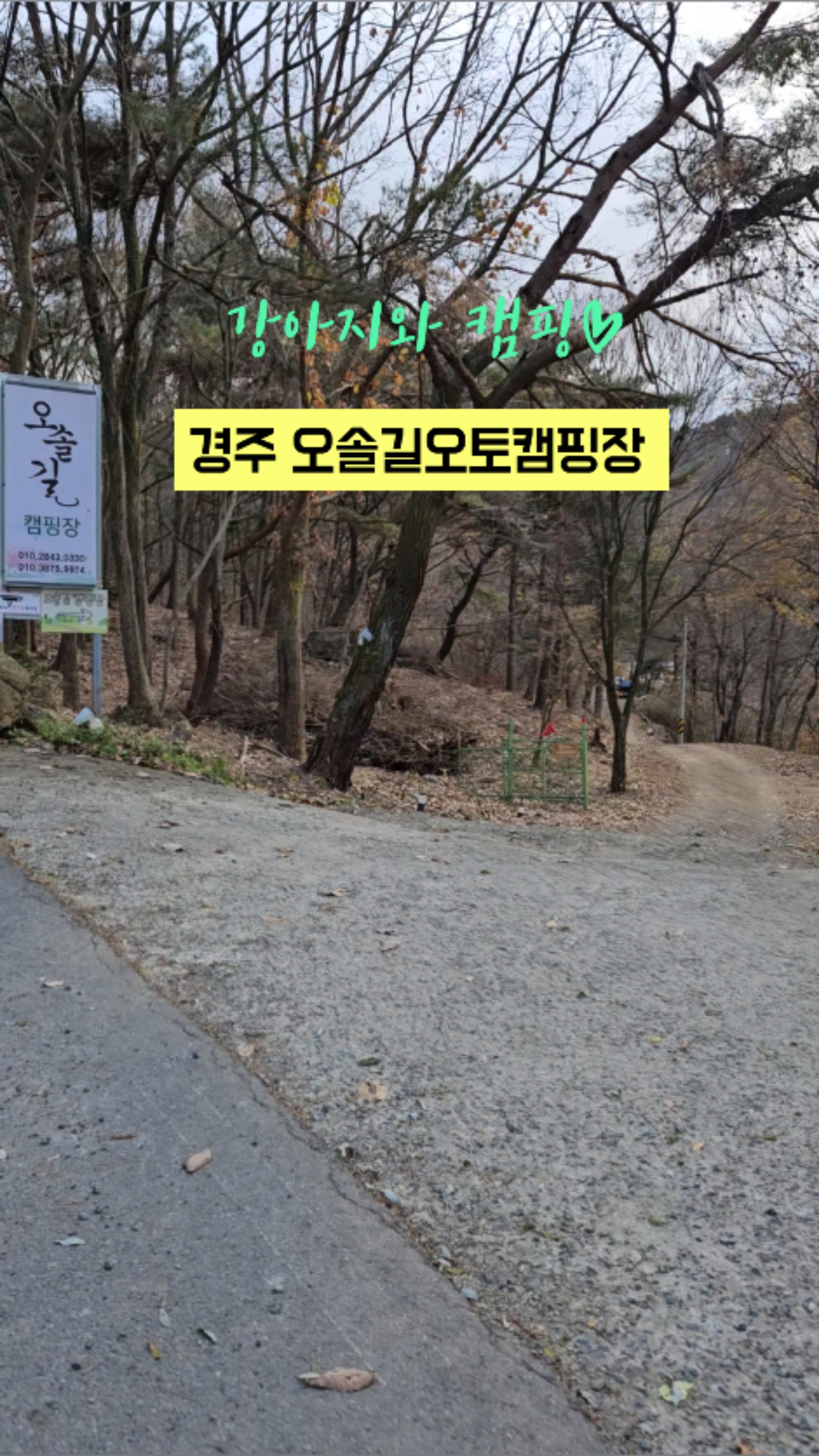오솔길오토캠핑장 이미지