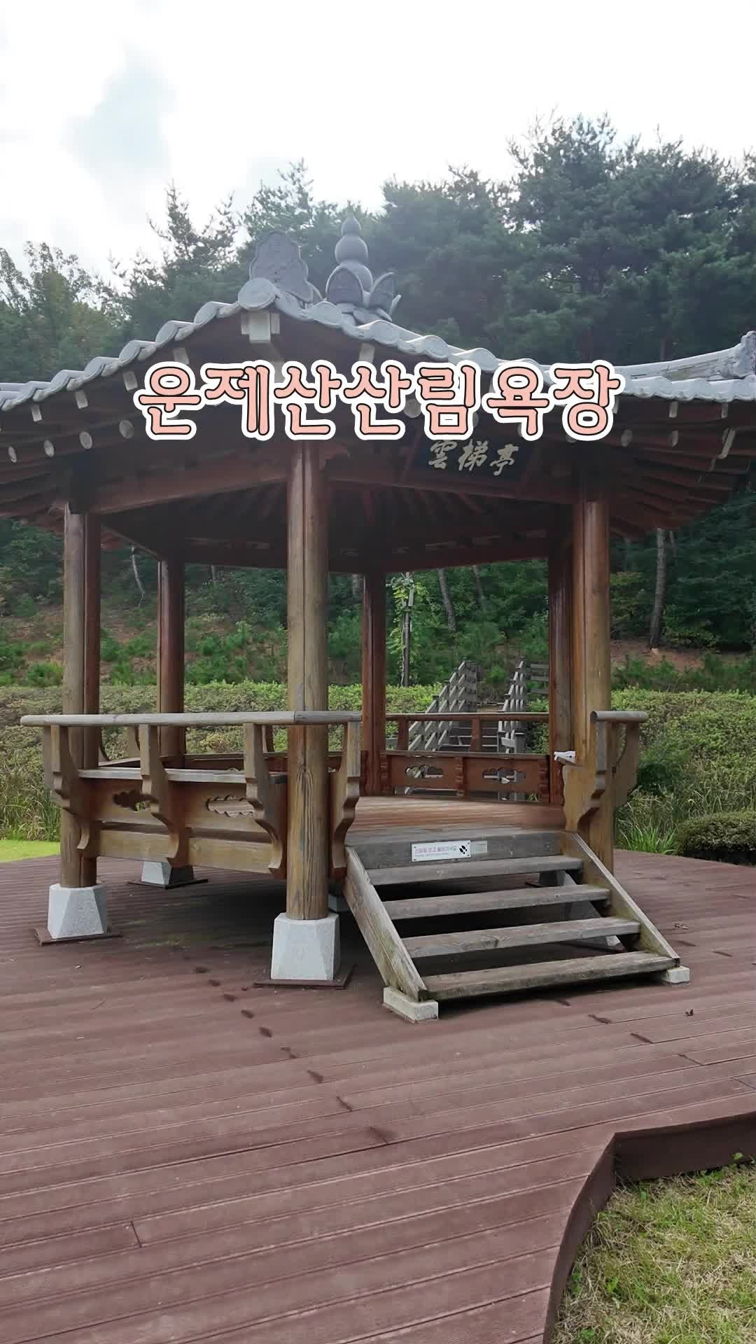 포항 운제산 산림욕장 유아숲 체험원 가을 나들이 아이와 가볼만한 곳