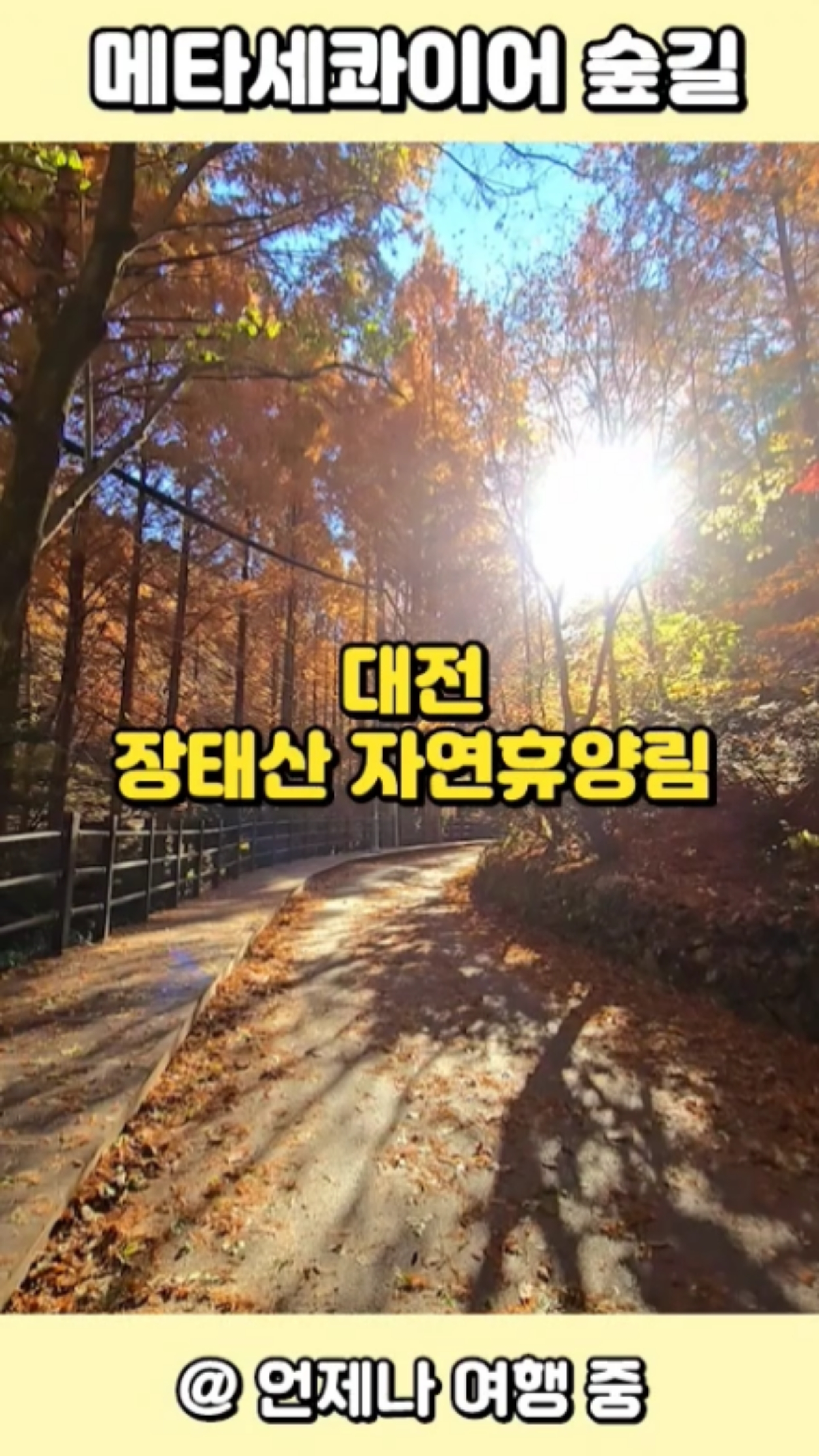 대전관광지 대전 놀곳 장태산 자연휴양림