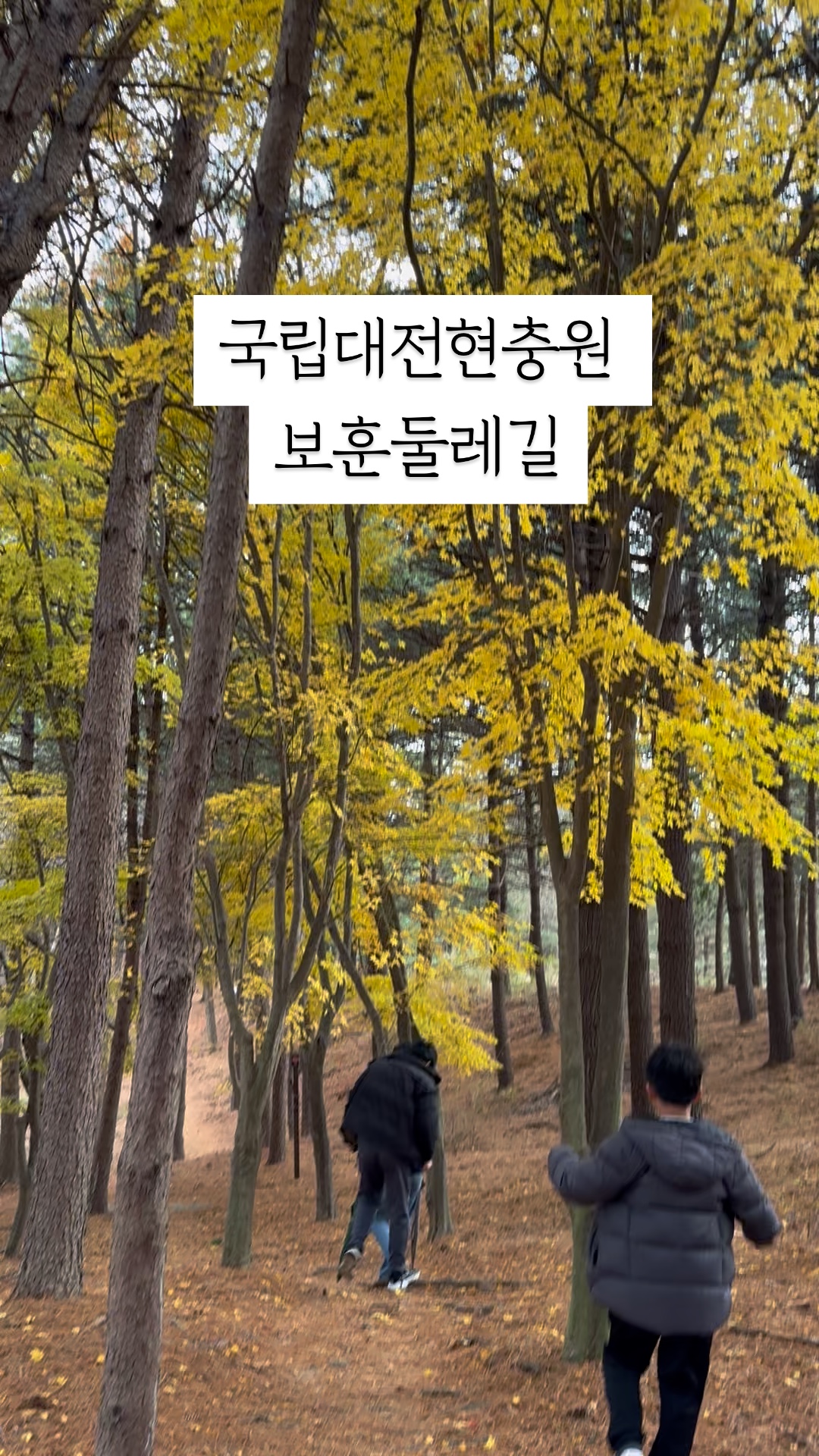 국립대전현충원 보훈둘레길
