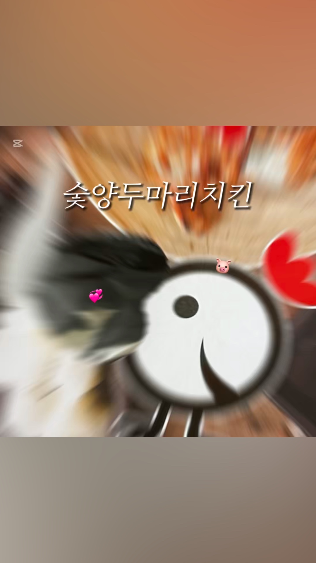 숯양두마리치킨 이미지