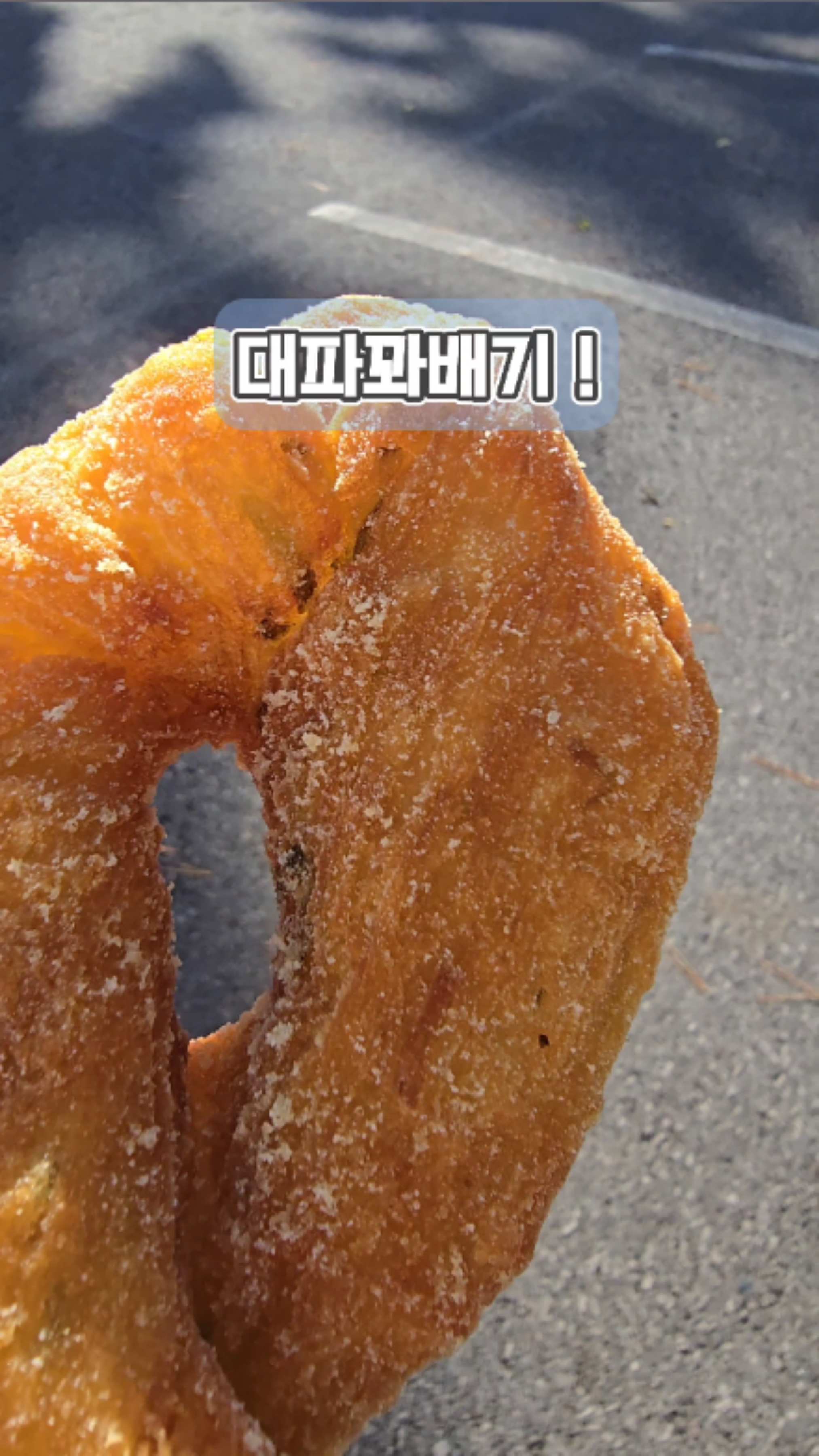 백한철꽈배기&식빵 이미지