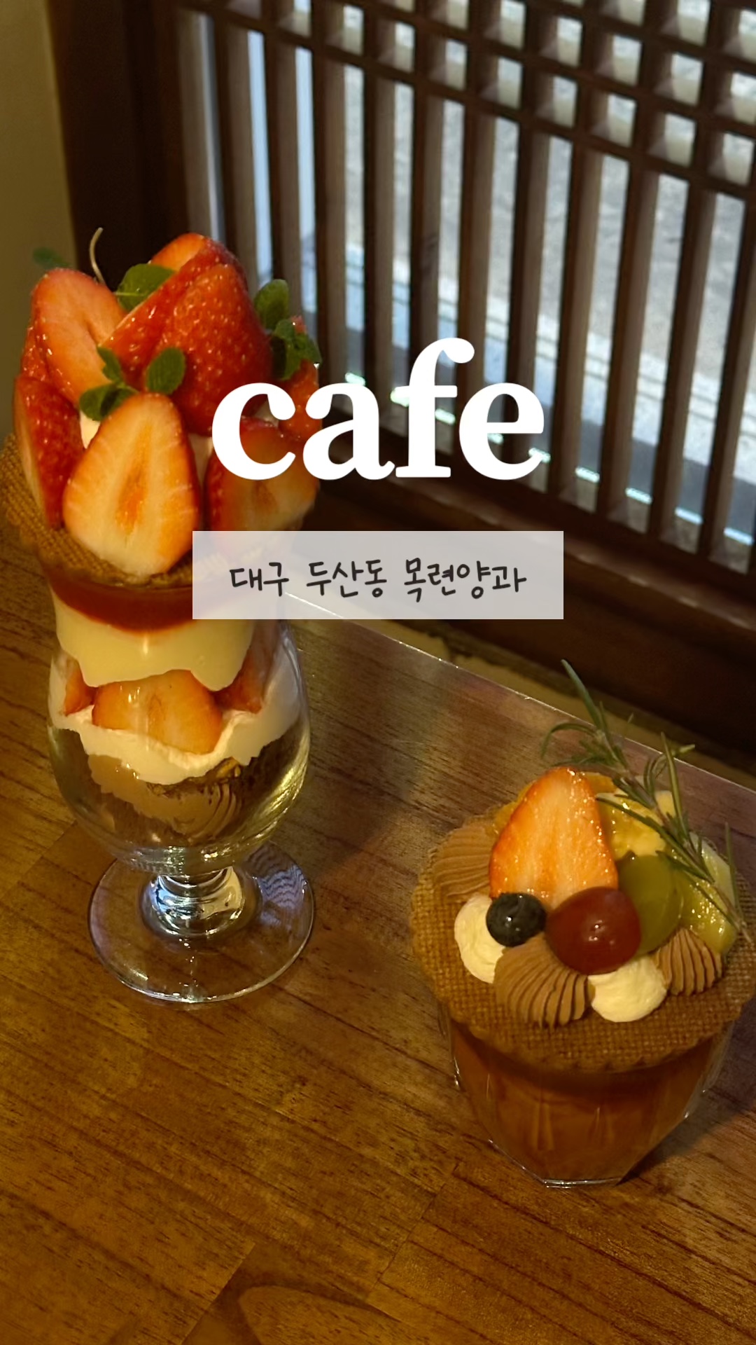 목련양과 이미지
