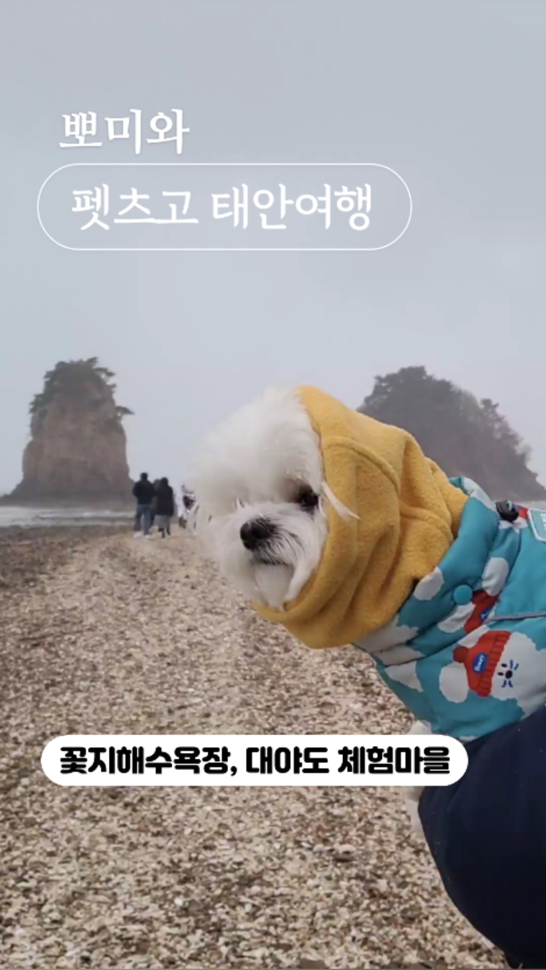 사진 7