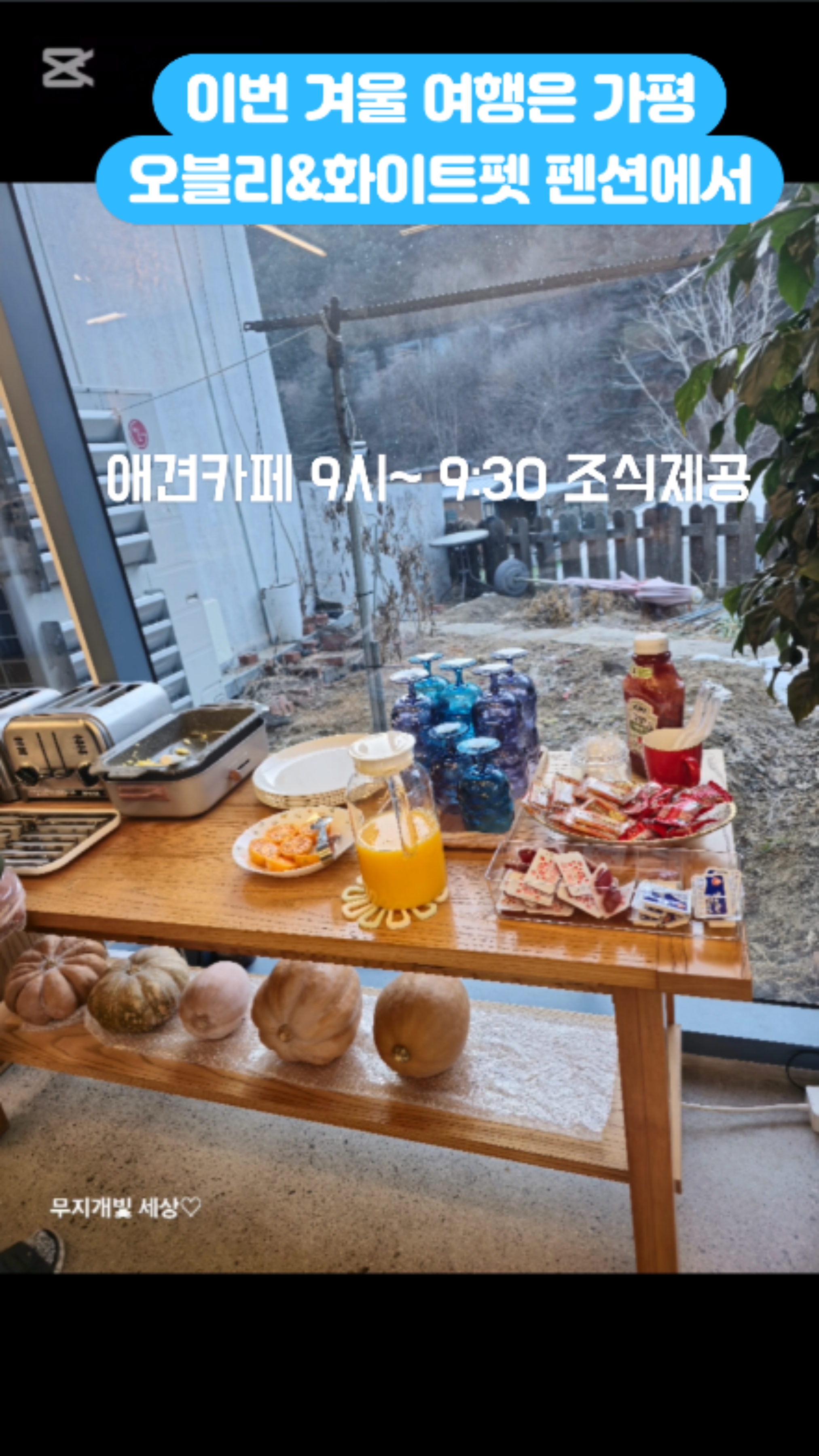 사진 5