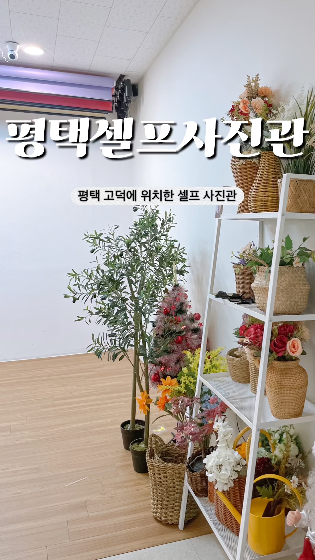 사진은셀프입니다 이미지