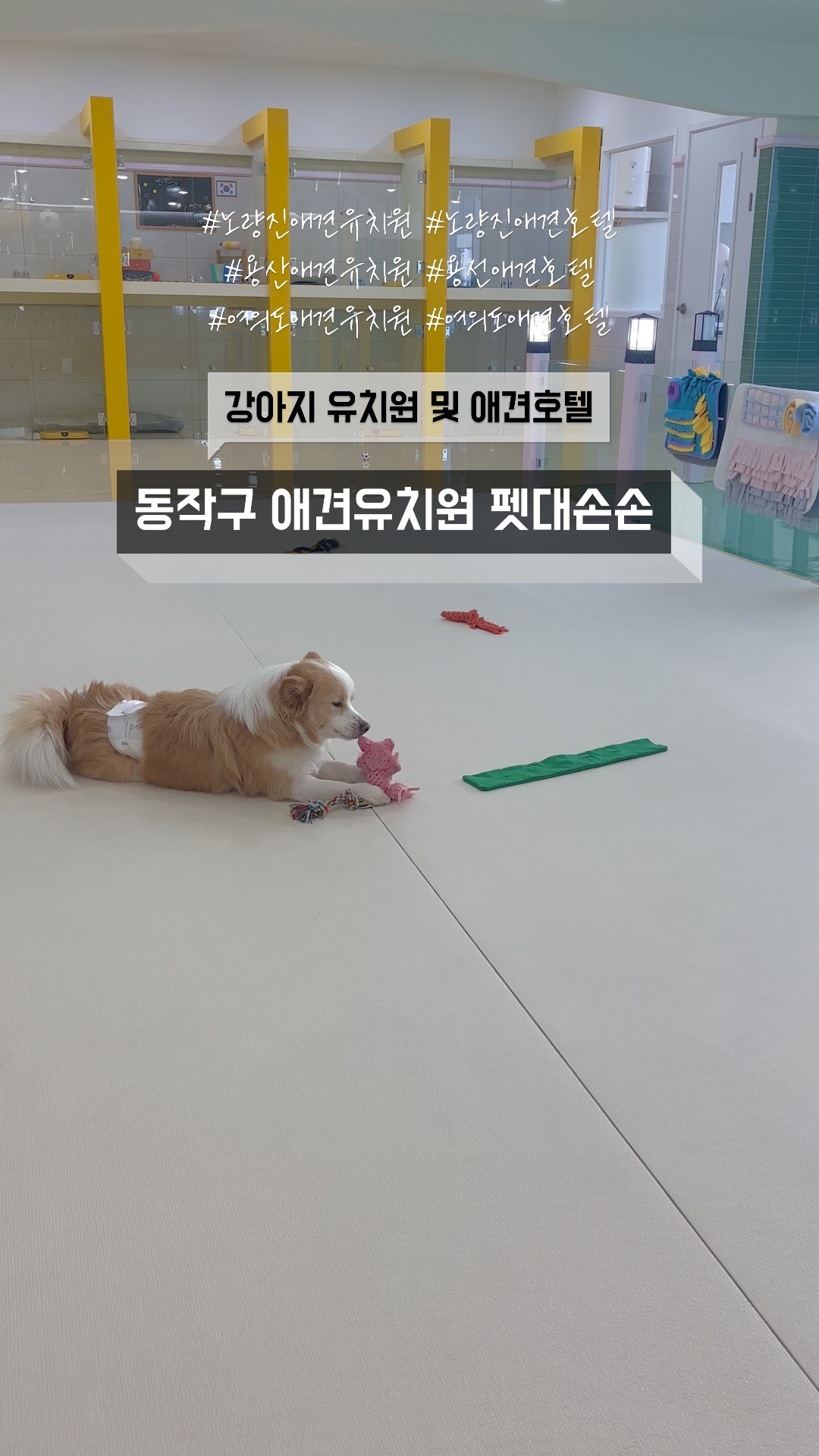 사진 2