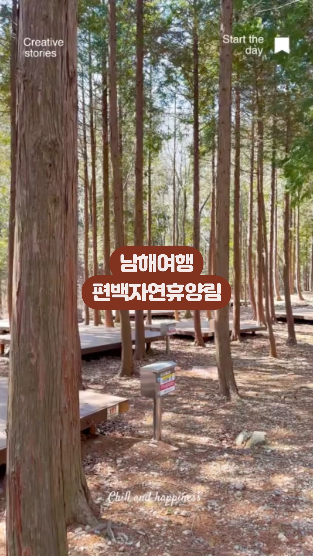 국립 남해편백자연휴양림, 숲 속에서 만나는 힐링