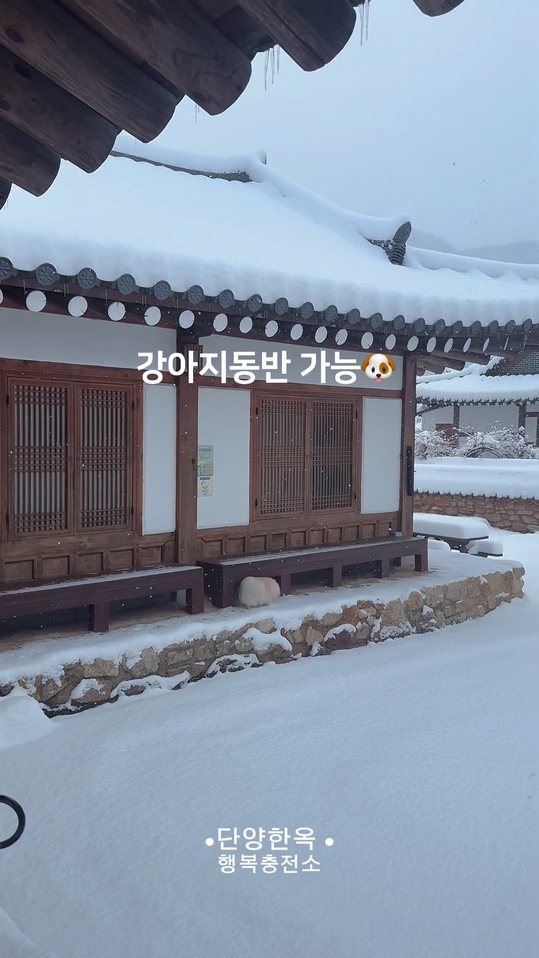 단양충전소 이미지