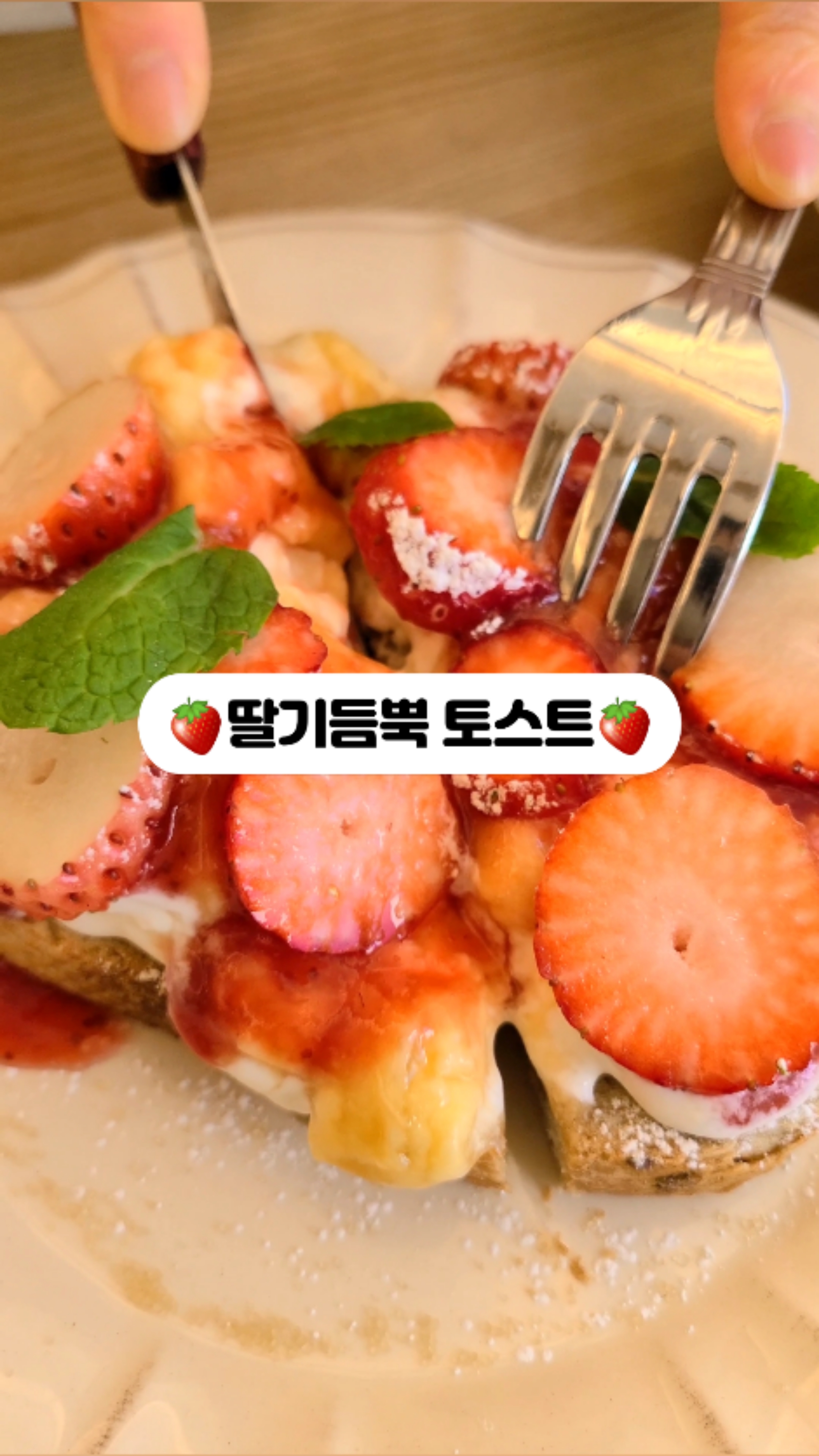 Osds 파르크 사진 4