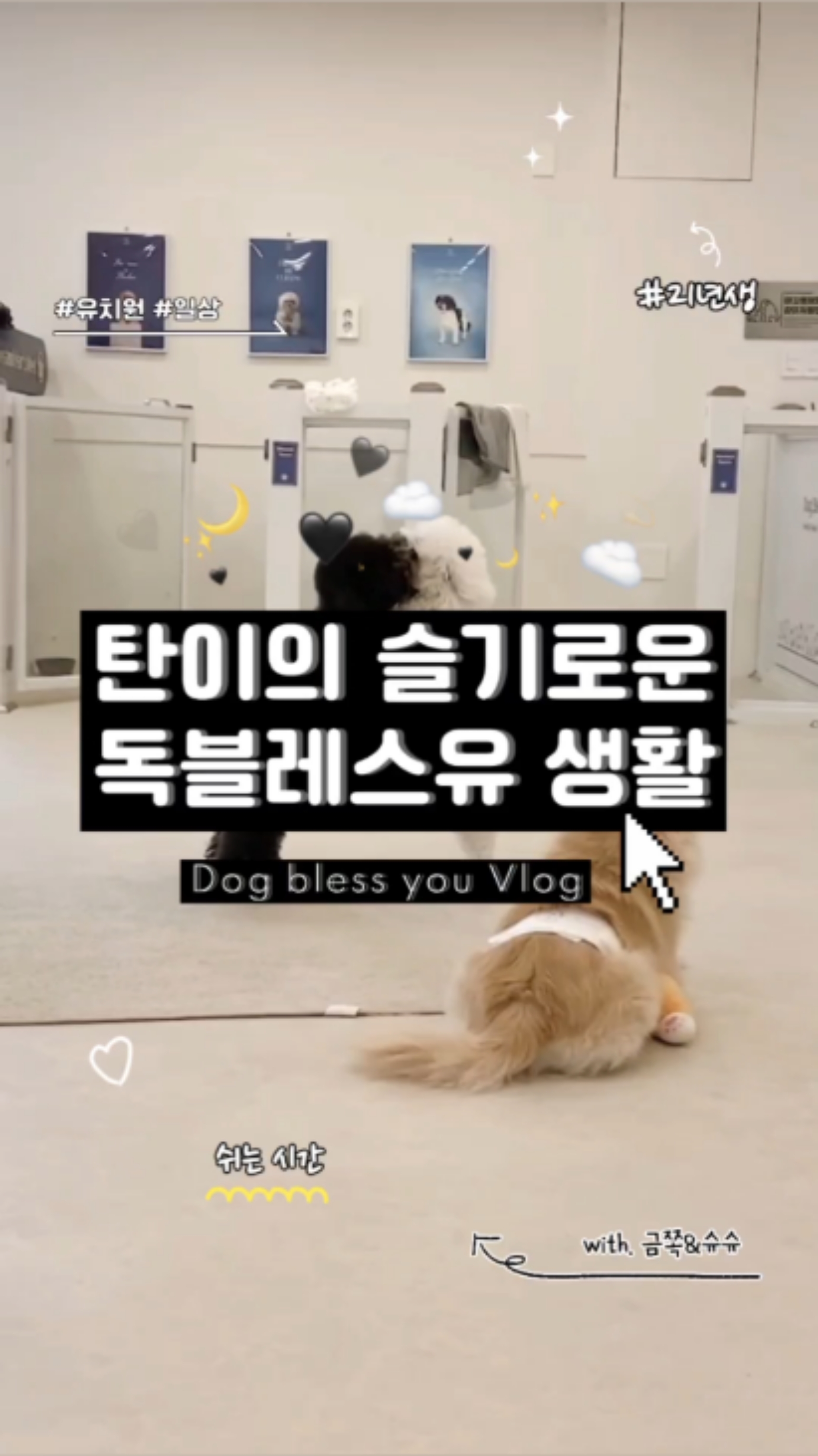 독 블레스 유