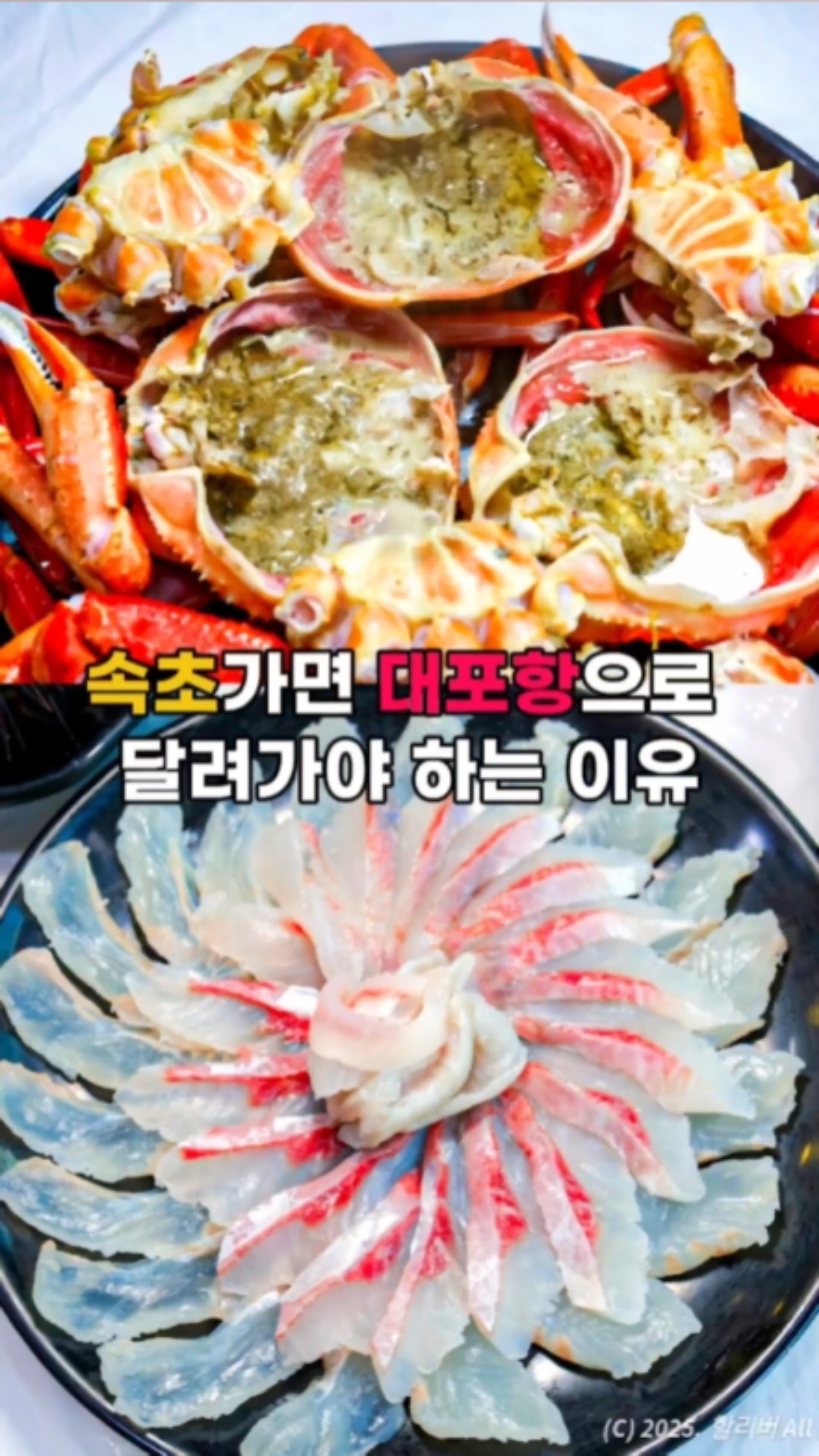대포횟집 3