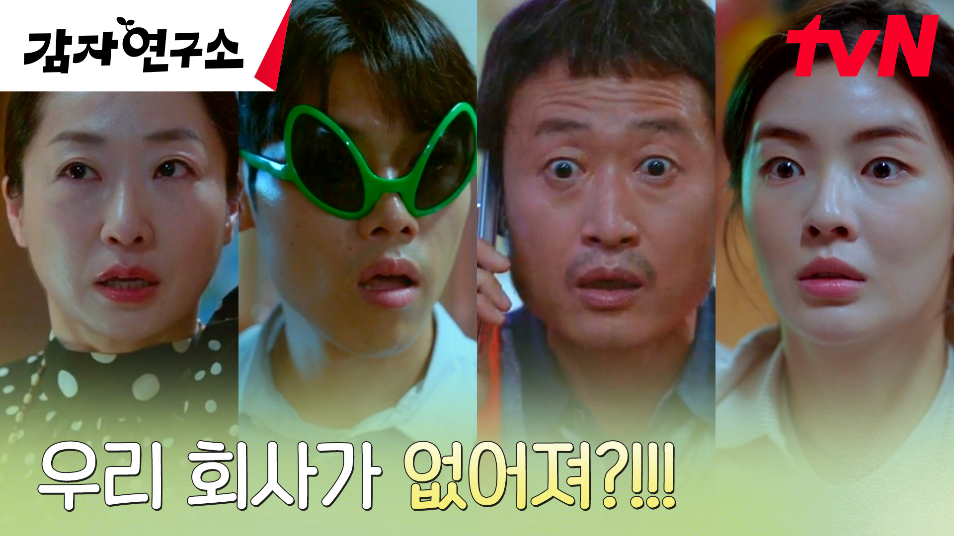 《愛情發芽中》分集劇情第1集-金美京和想要解散研究所的蘇白皓-初次見面火藥味十足 《愛情發芽中》分集劇情第1集-金美京和想要解散研究所的蘇白皓-初次見面火藥味十足