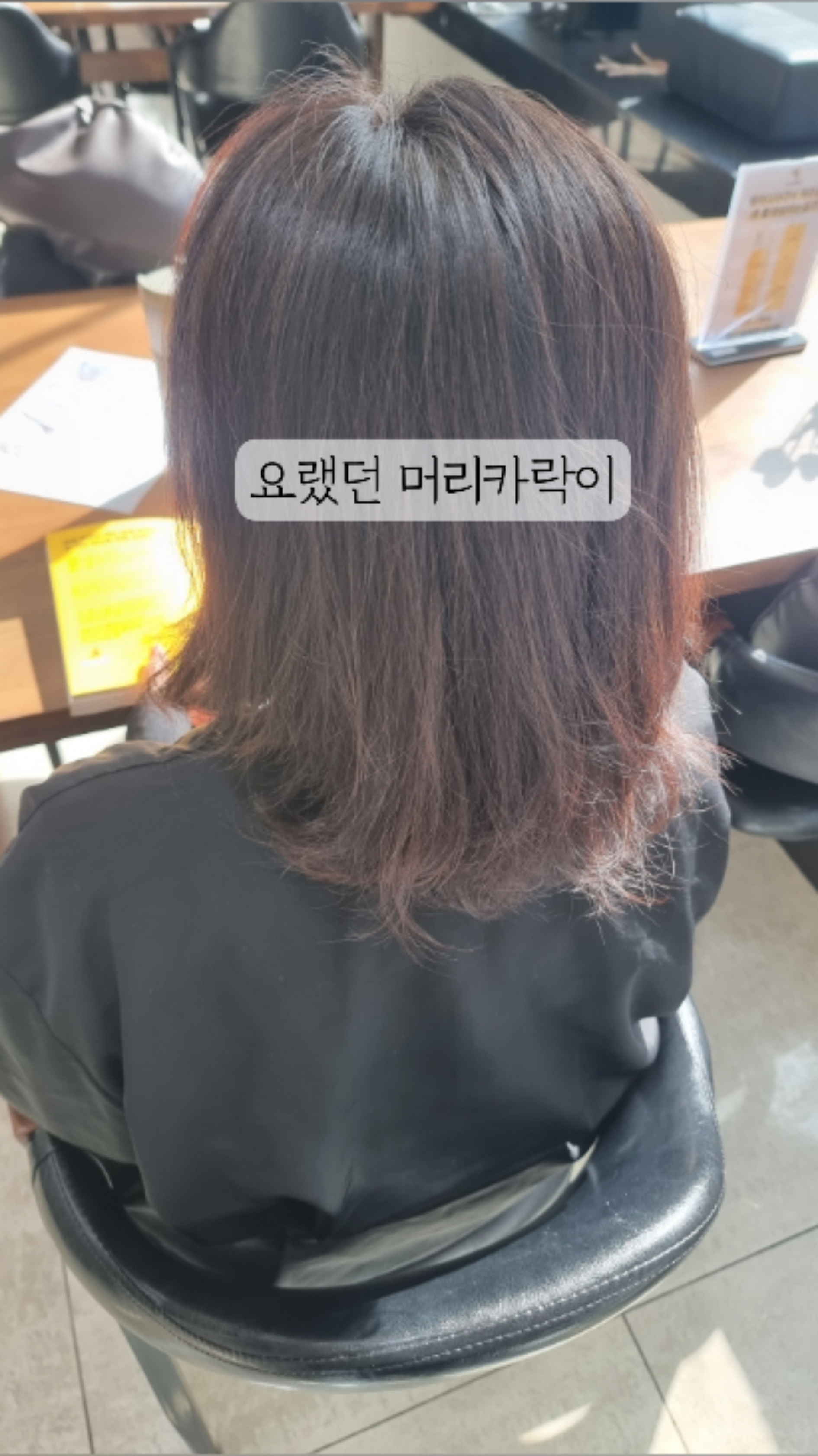 하니헤어클럽 이미지
