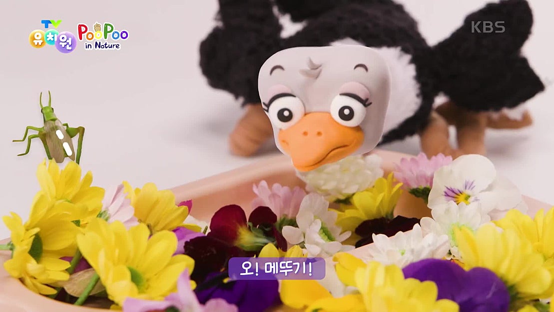 [PooPoo in Nature] 세상의 모든 똥! | KBS 250305 방송 - 네이버 TV